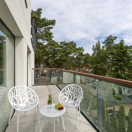 Na Brzozowej * 미에드지보드지